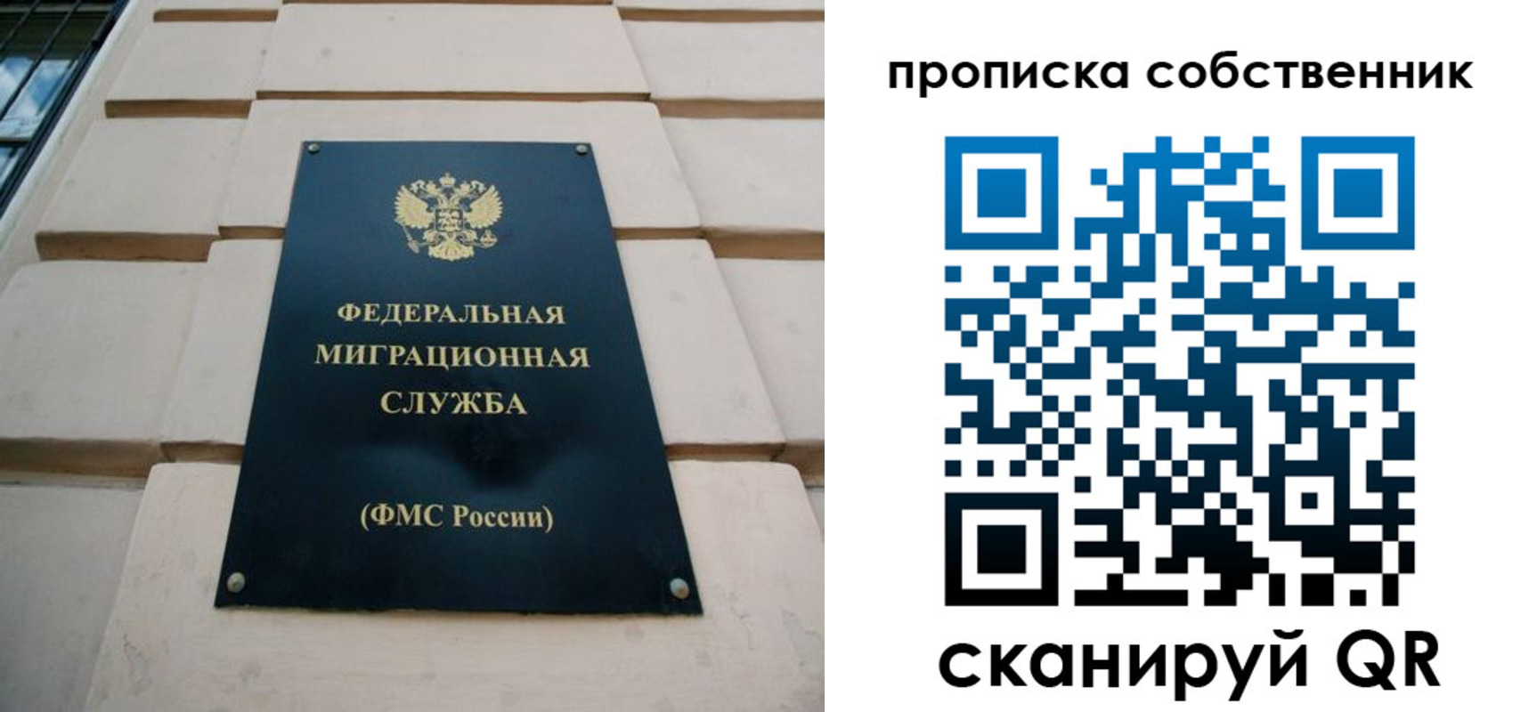 прописка законно в Ленинградской области
